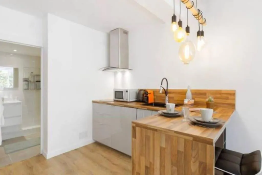 Grand Studio*Victor Hugo*Centre Toulouse Apartment